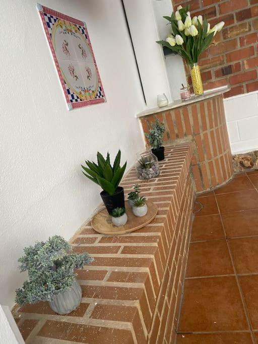Apartment Encantador Y Acogedor Con Piscina *